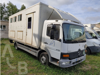 Mercedes-Benz 815 - Camião de transporte de cavalos