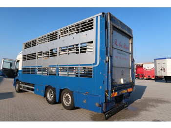 CUPPERS Veebak - Camião transporte de gado