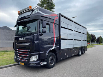 DAF XF 460 2017 berdex 3 lagen varkens - Camião transporte de gado