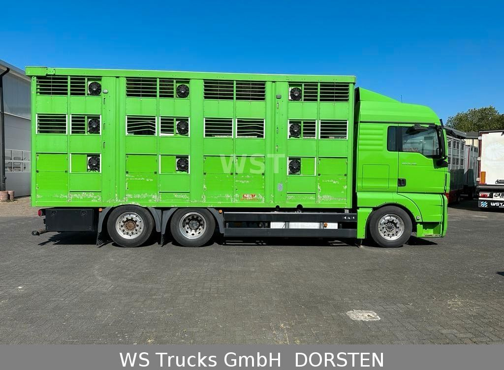 Camião transporte de gado MAN TGX 26.480 XL KABA   3 Stock Vollalu: foto 8