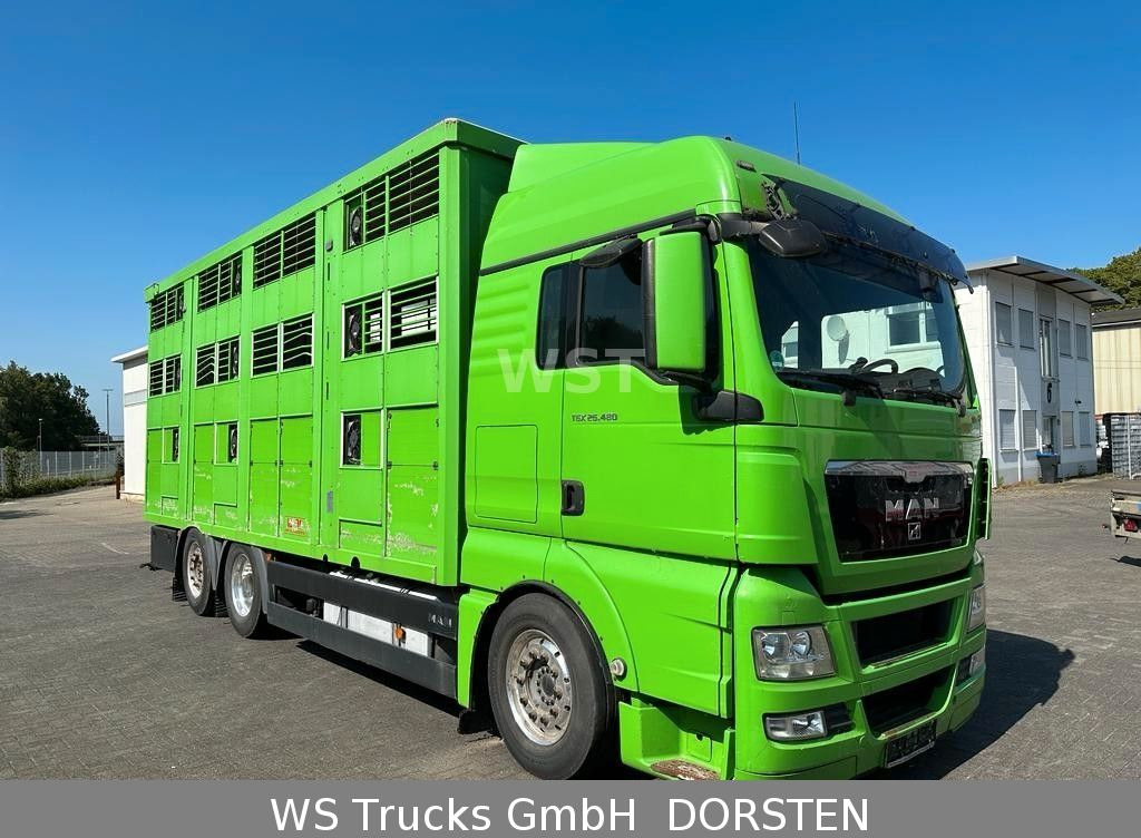 Camião transporte de gado MAN TGX 26.480 XL KABA   3 Stock Vollalu: foto 9