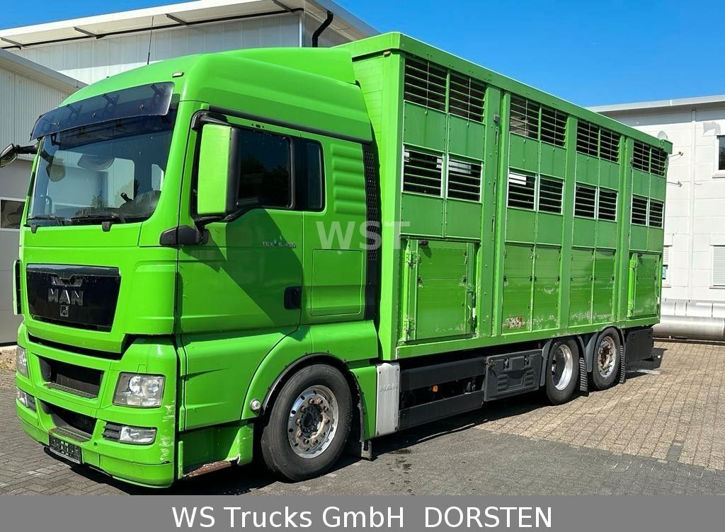 Camião transporte de gado MAN TGX 26.480 XL KABA   3 Stock Vollalu: foto 7