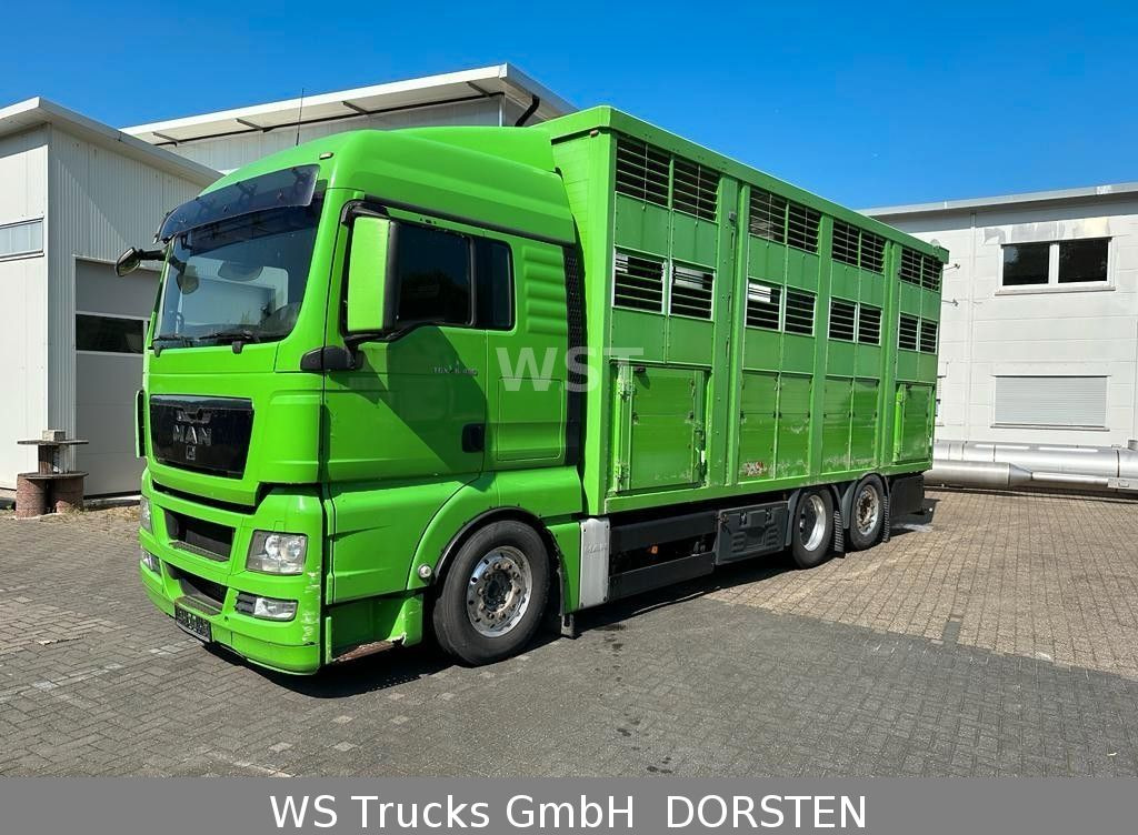 Camião transporte de gado MAN TGX 26.480 XL KABA   3 Stock Vollalu: foto 5