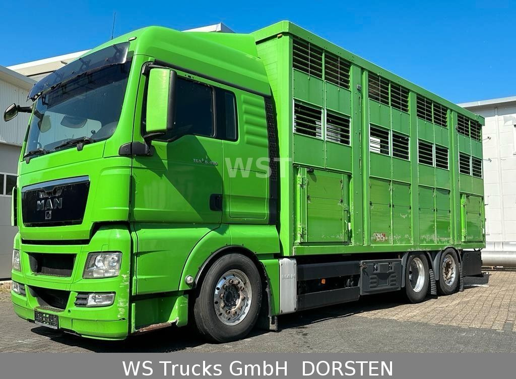 Camião transporte de gado MAN TGX 26.480 XL KABA   3 Stock Vollalu: foto 6