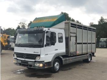Camião transporte de gado Mercedes-Benz 818 4x2 / Viehwagen / KABA Aufbau: foto 1