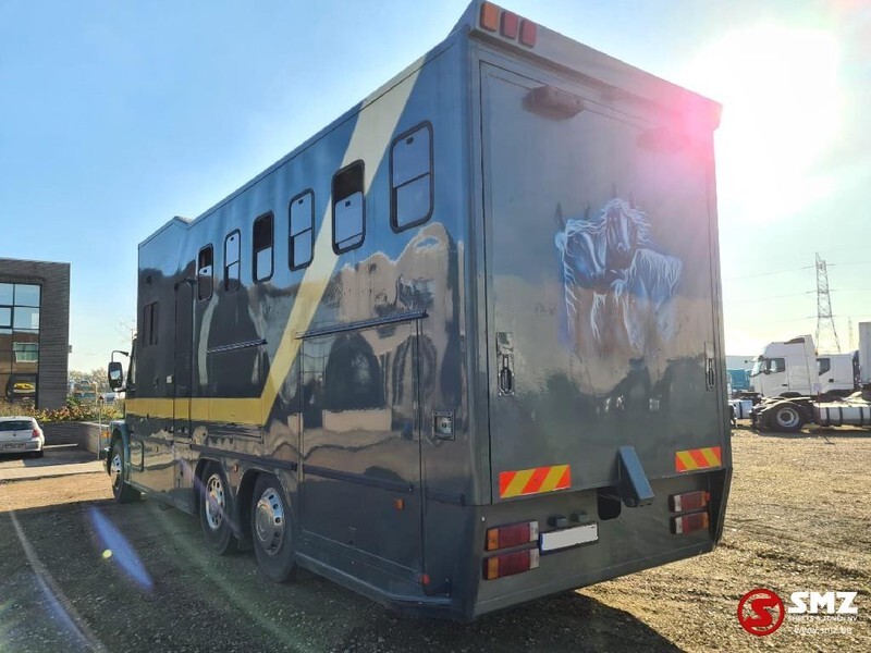 Camião de transporte de cavalos Scania 113 paarden/mobilhome: foto 3