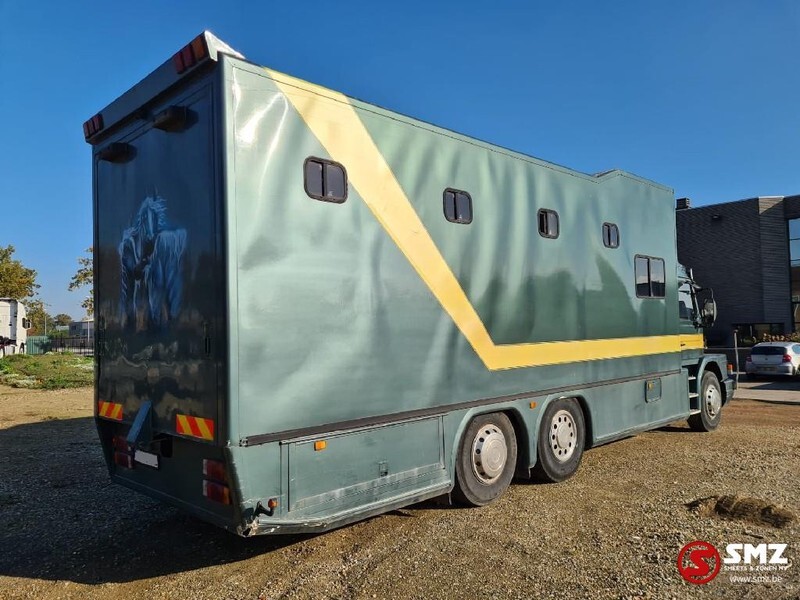 Camião de transporte de cavalos Scania 113 paarden/mobilhome: foto 4
