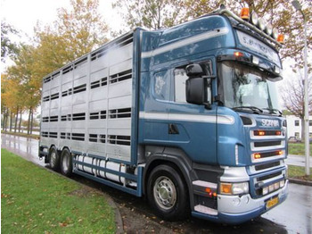 Camião transporte de gado Scania R500 V8 R500LB6X2*4MLA: foto 1