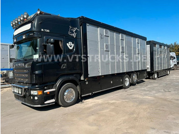 Camião transporte de gado Scania R730 V8 6x2 2.Stock Stehmann +  Viehanhänger: foto 1
