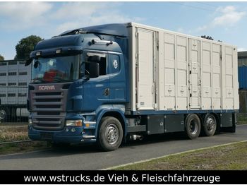 Camião transporte de gado Scania  R 560 V8 Highline Menke 3 Stock Vollalu: foto 1