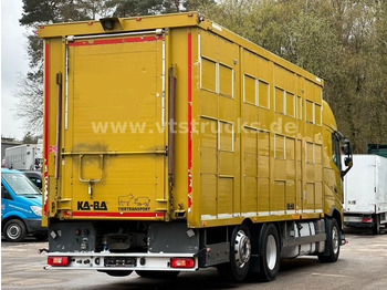 Camião transporte de gado Volvo FH 420 6x2 KA-BA 3Stock: foto 4