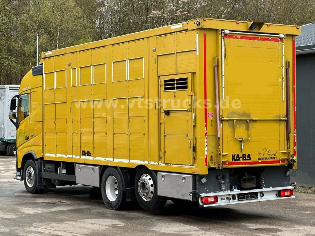 Camião transporte de gado Volvo FH 420 6x2 KA-BA 3Stock: foto 6