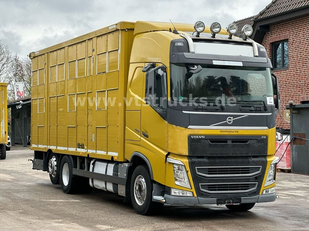Camião transporte de gado Volvo FH 420 6x2 KA-BA 3Stock: foto 3