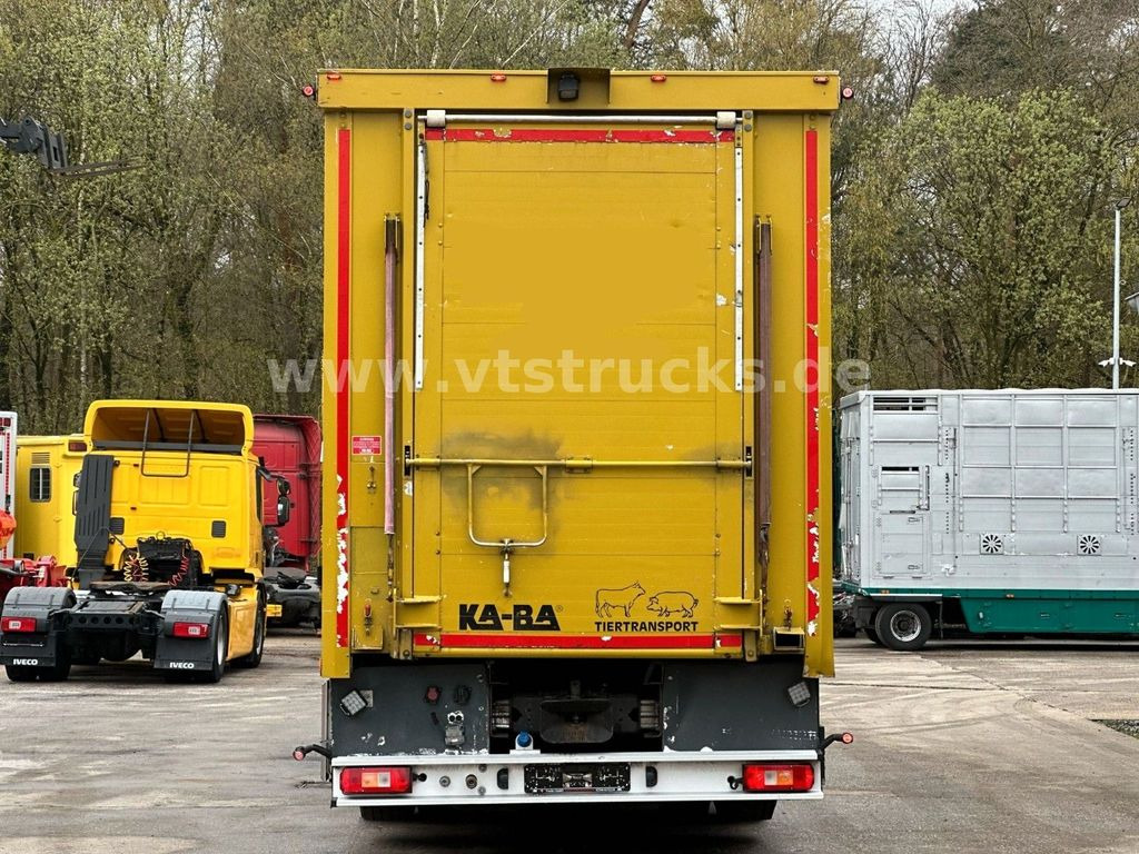 Camião transporte de gado Volvo FH 420 6x2 KA-BA 3Stock: foto 5