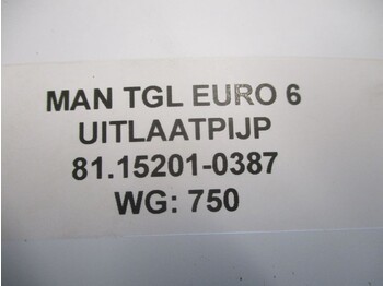 Sistema de escape MAN 81.15201-0387 UITLAATPIJP EURO 6: foto 3