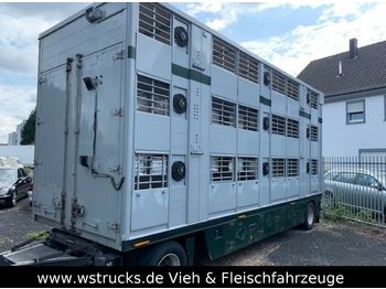 Finkl 3 Stock   Vollalu  - Reboque transporte de gado