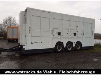 Menke Tridem Doppelstock  - Reboque transporte de gado