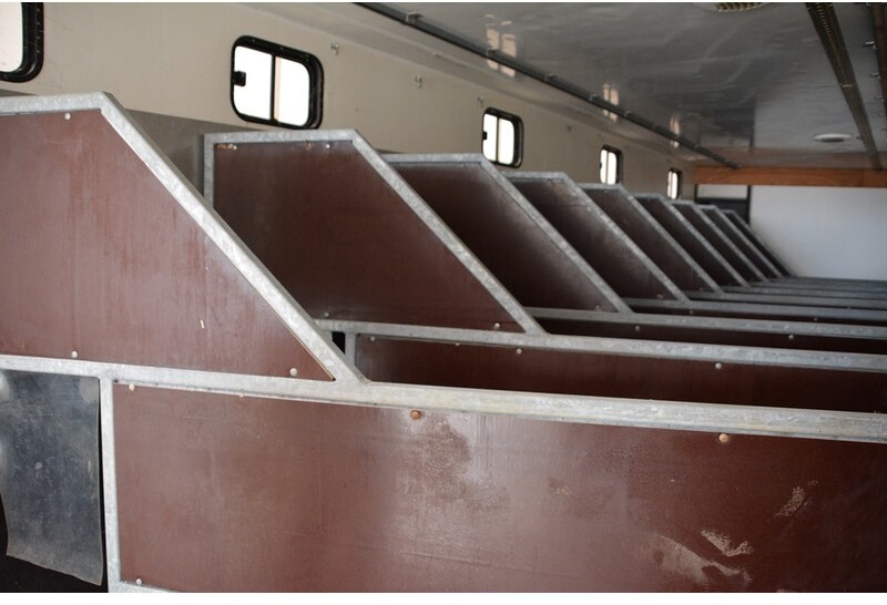 Semi-reboque para cavalos DESOT Horse trailer (10 horses): foto 4