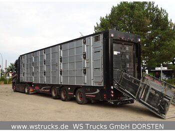 Semi-reboque transporte de gado Finkl 3 Stock  Vollausstattung Hubdach: foto 1