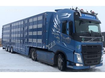 Semi-reboque transporte de gado para transporte de animais novo New PLAVAC 3+4: foto 1