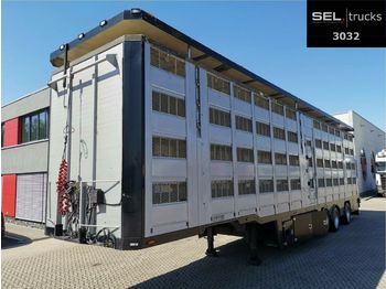 Pezzaioli Menke-Janzen / 4 Stock / Hudbach / Lenkachse  - Semi-reboque transporte de gado