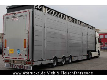 Pezzaioli SBA31-SR  3 Stock "Neu" Vermietung  - Semi-reboque transporte de gado