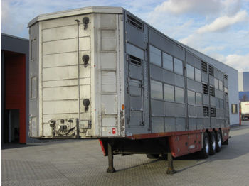 Pezzaioli SBA63U / 3 Achsen / BPW-Achsen / 3 Stock  - Semi-reboque transporte de gado