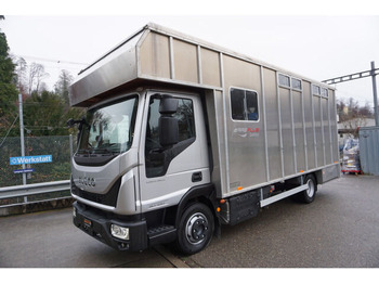 Camião transporte de gado IVECO EuroCargo