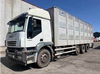 Camião transporte de gado IVECO Stralis