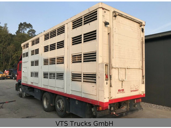 Camião transporte de gado MAN