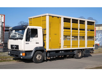 Camião transporte de gado MAN 12.224