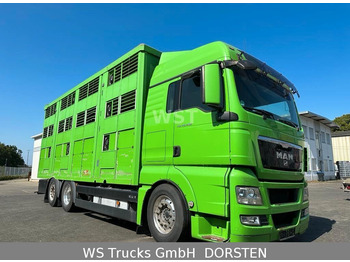 Camião transporte de gado MAN TGX 26.480