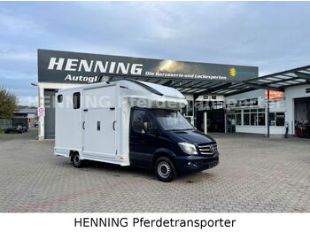Camião de transporte de cavalos MERCEDES-BENZ Sprinter