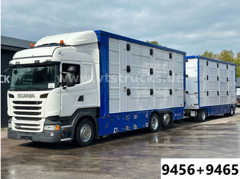 Camião transporte de gado SCANIA R 480