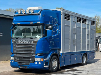 Camião transporte de gado SCANIA R 520