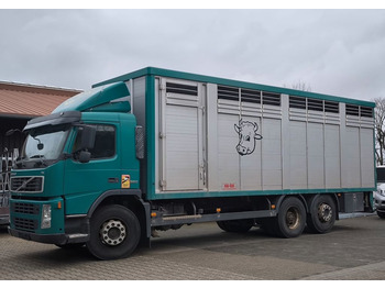 Camião transporte de gado VOLVO FM