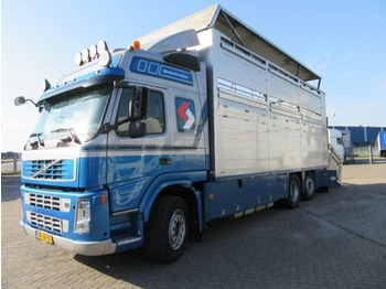 Camião transporte de gado VOLVO FM9