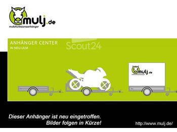  Brenderup - Cargo Dynamic CD300TBD2000 Türe, Kofferanhänger 2,0 to. 300x153x185cm - Reboque furgão: foto 1