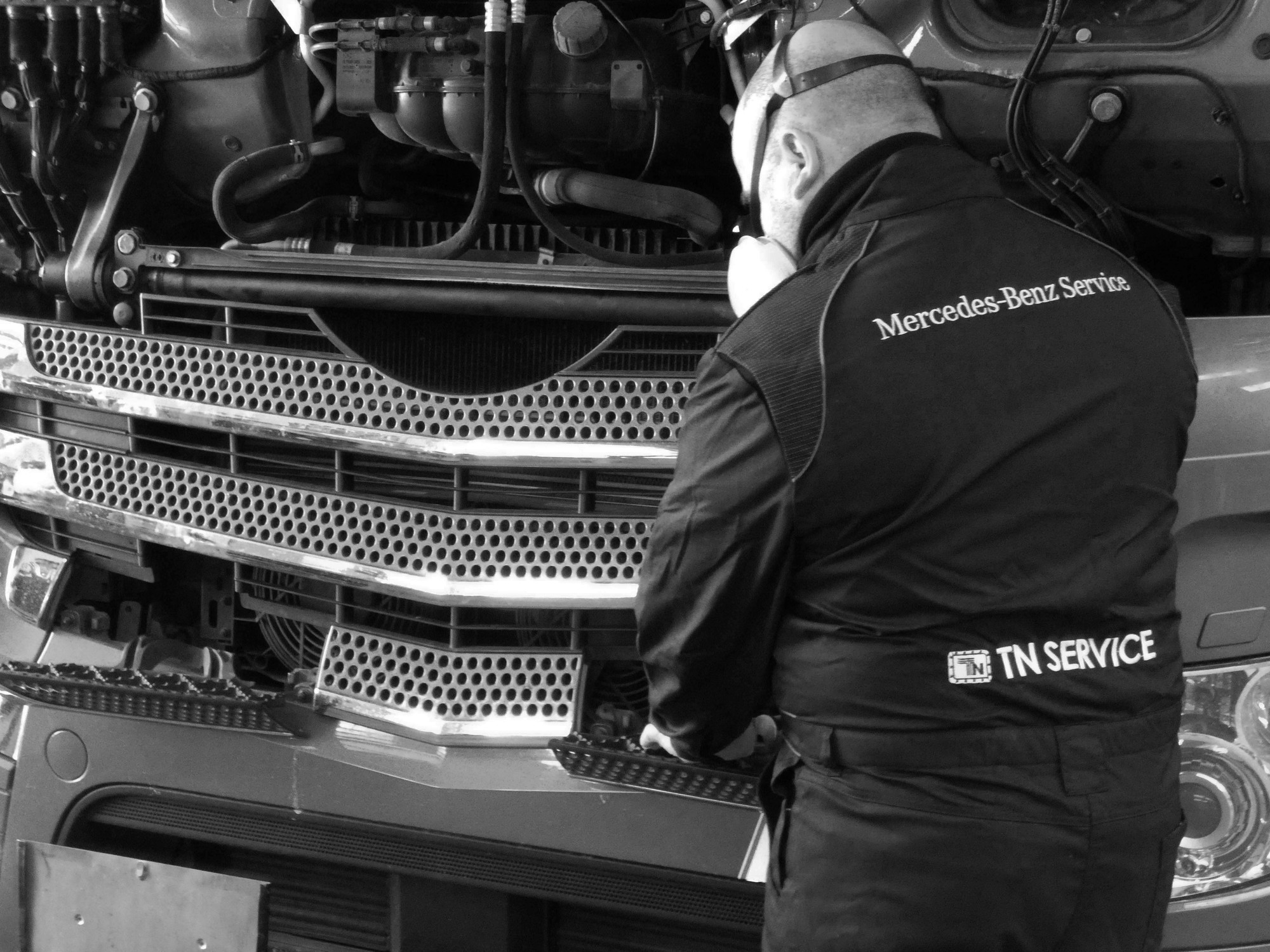 TN Service srl - veículos a venda undefined: foto 9