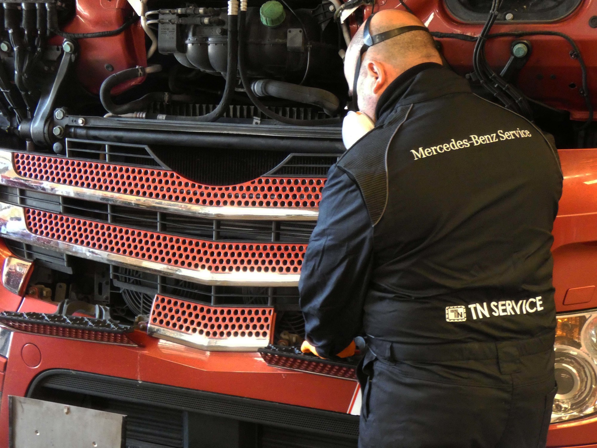 TN Service srl - veículos a venda undefined: foto 10