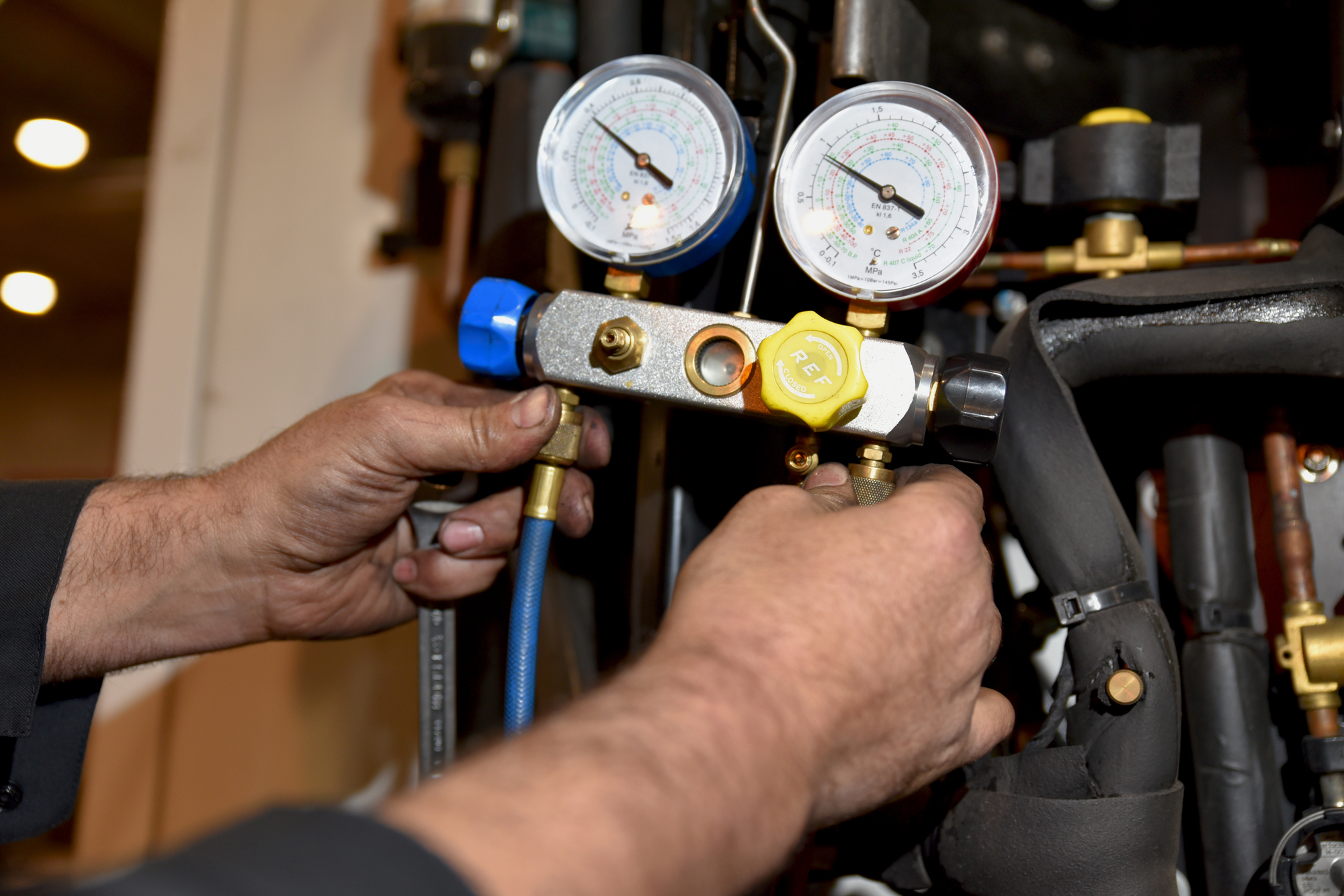 TN Service srl - veículos a venda undefined: foto 4