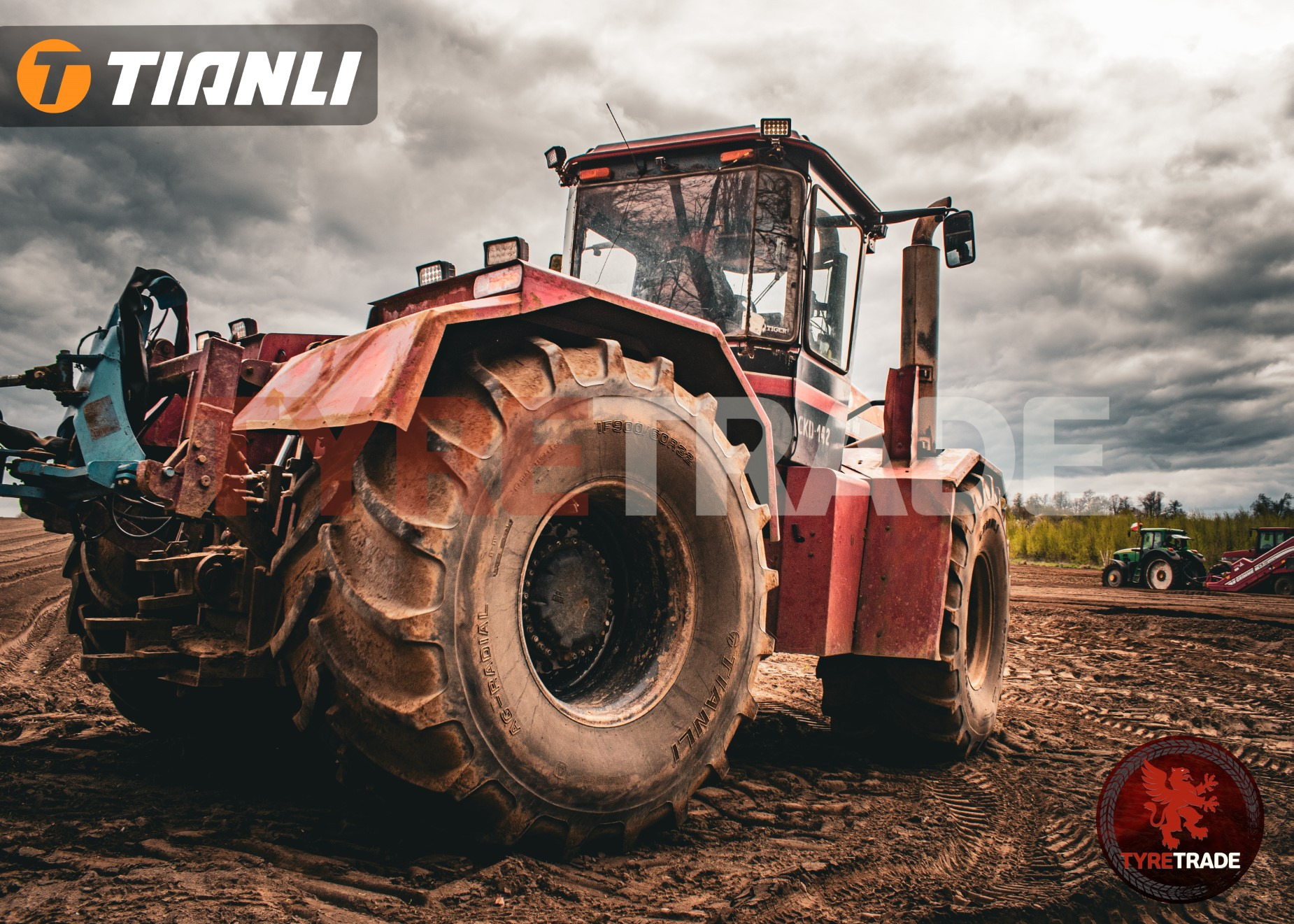 Tyre Trade Michał Nibelski - veículos a venda undefined: foto 6