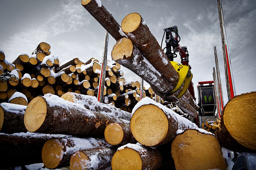 Tractoaredepadure.ro undefined: foto 8