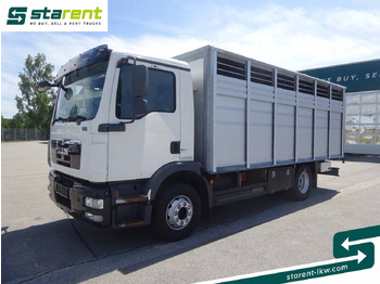 Camião de transporte de cavalos MAN TGM 15.290