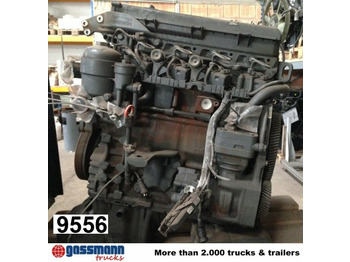 : foto do cabeçalho