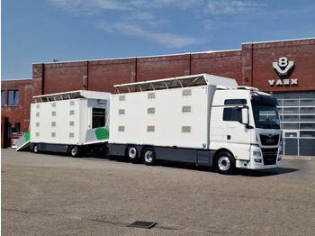 Camião transporte de gado MAN TGX