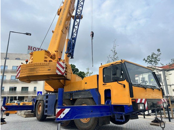 Grua móvel LIEBHERR LTM 1050/1