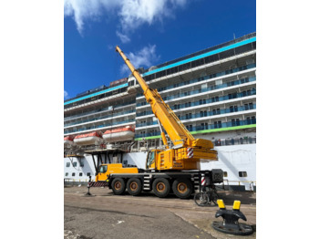 Grua móvel LIEBHERR LTM 1100