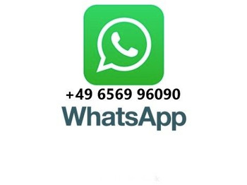 Leasing de Mercedes-Benz Actros 2032 4x4 Meiller RK 14.55 + Winterdienst Mercedes-Benz Actros 2032 4x4 Meiller RK 14.55 + Winterdienst: foto 2 Leasing de Mercedes-Benz Actros 2032 4x4 Meiller RK 14.55 + Winterdienst Mercedes-Benz Actros 2032 4x4 Meiller RK 14.55 + Winterdienst: foto 2