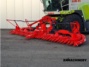 : foto do cabeçalho